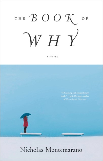 The Book of Why