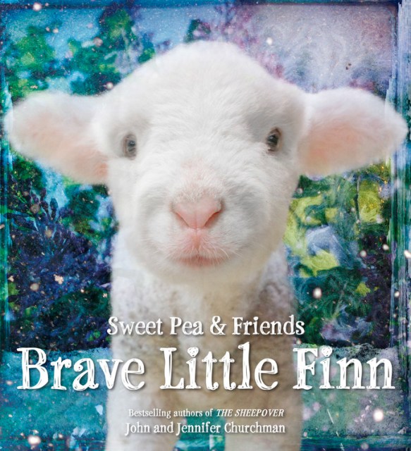 Brave Little Finn