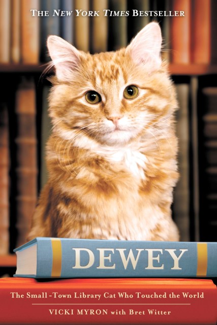 Dewey