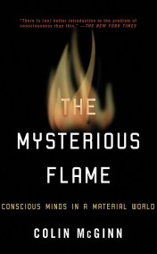 The Mysterious Flame