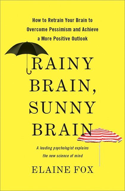 Rainy Brain, Sunny Brain