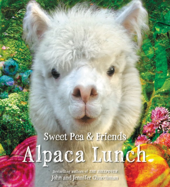 Alpaca Lunch