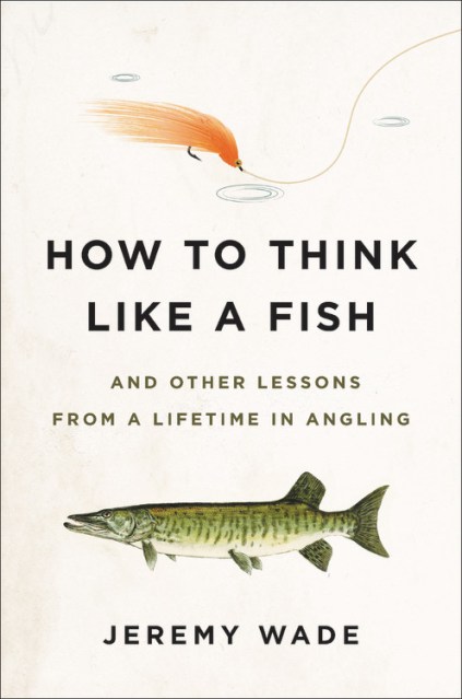 How to Think Like a Fish