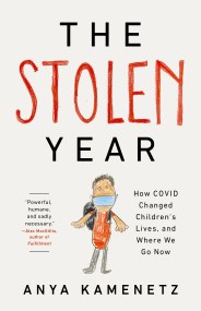 The Stolen Year