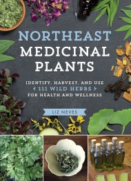 Northeast Medicinal Plants