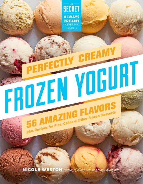 Perfectly Creamy Frozen Yogurt