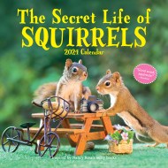 The Secret Life of Squirrels Wall Calendar 2024