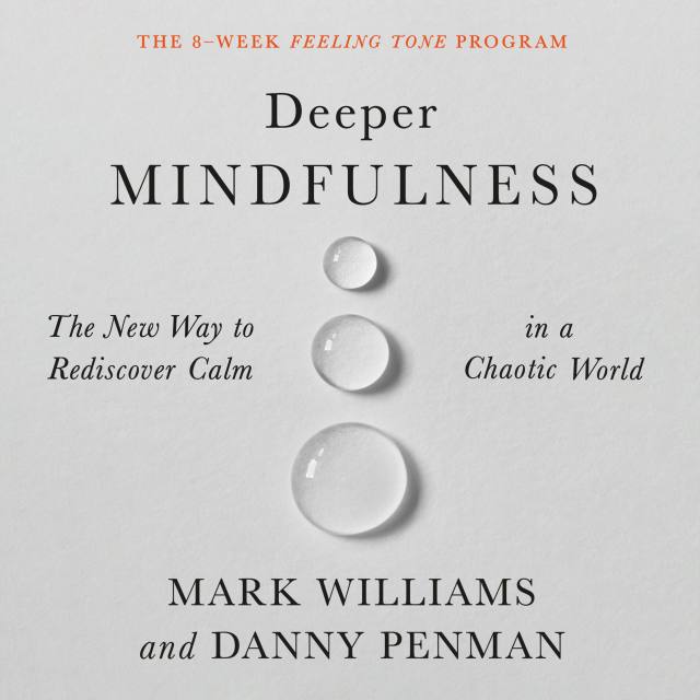 Deeper Mindfulness