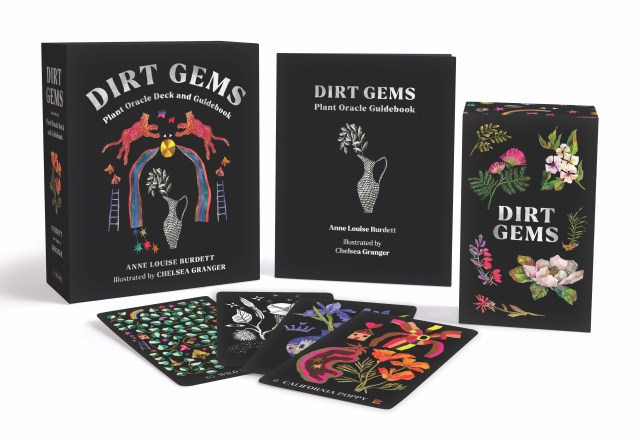 Image of "Dirt Gems" box, guidebook, card box, and a few cards