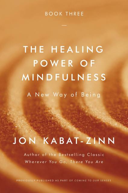 The Healing Power of Mindfulness