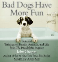 Bad Dogs Have More Fun