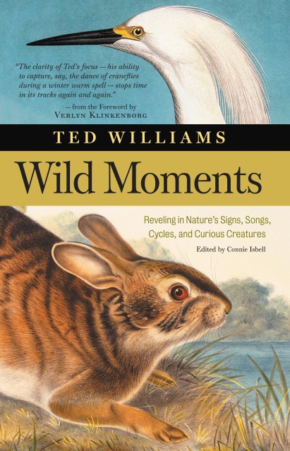 Wild Moments