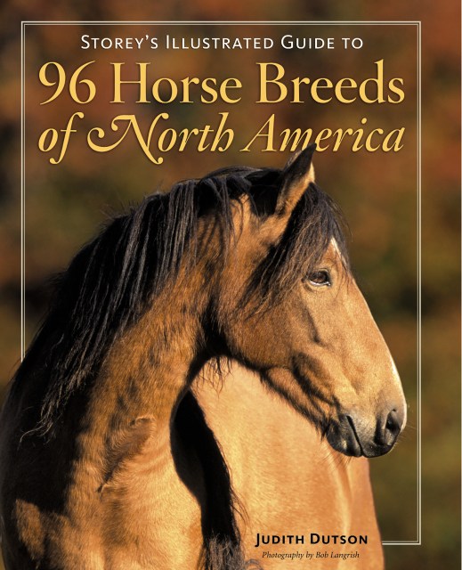 Storey's Illustrated Guide to 96 Horse Breeds of North America