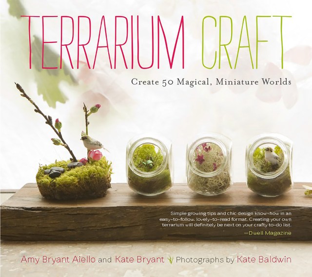 Terrarium Craft