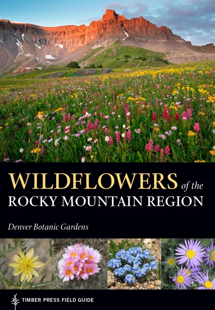 Wildflowers of the Rocky Mountain Region