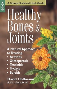 Healthy Bones & Joints